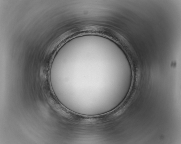 X0000113581017200910091457