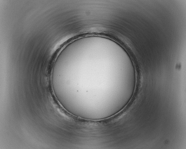 X0000113581018200910091457