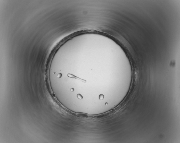 X0000113581020200910091457