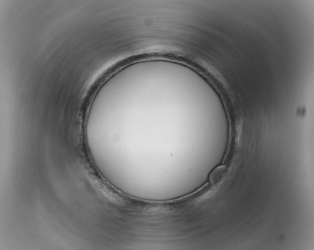 X0000113581021200910091457