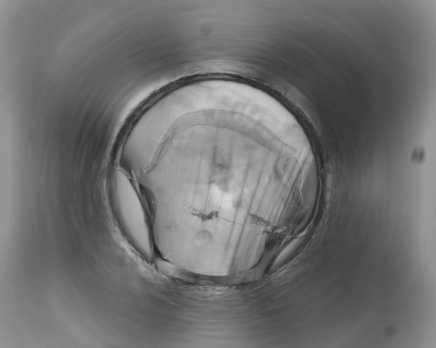 X0000113581024200910091457