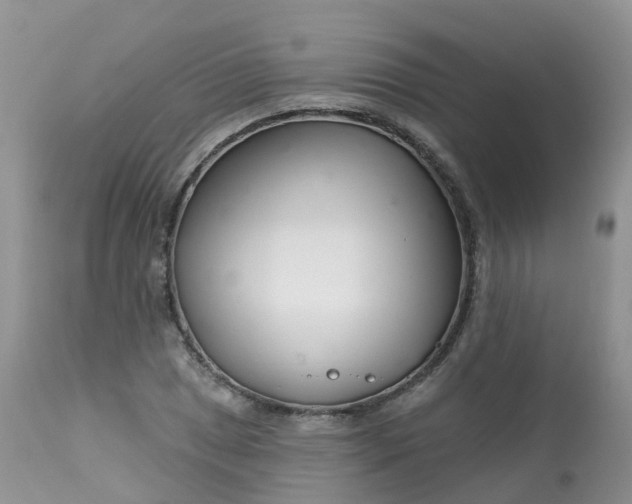 X0000113581025200910091457