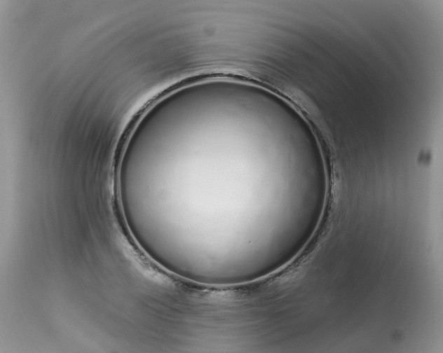 X0000113581028200910091457