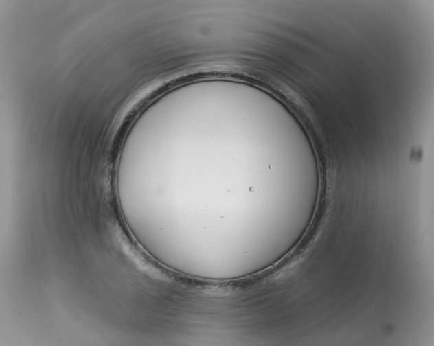 X0000113581029200910091457