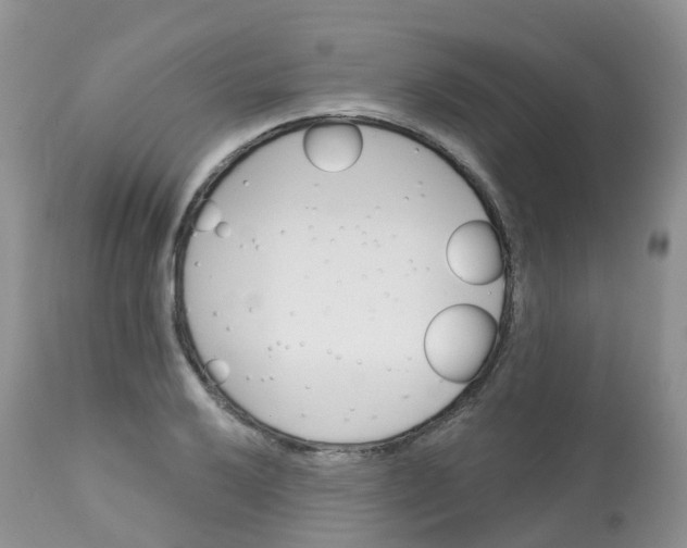 X0000113581032200910091457