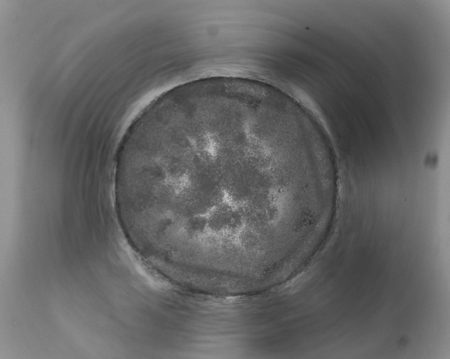 X0000113581035200910091457