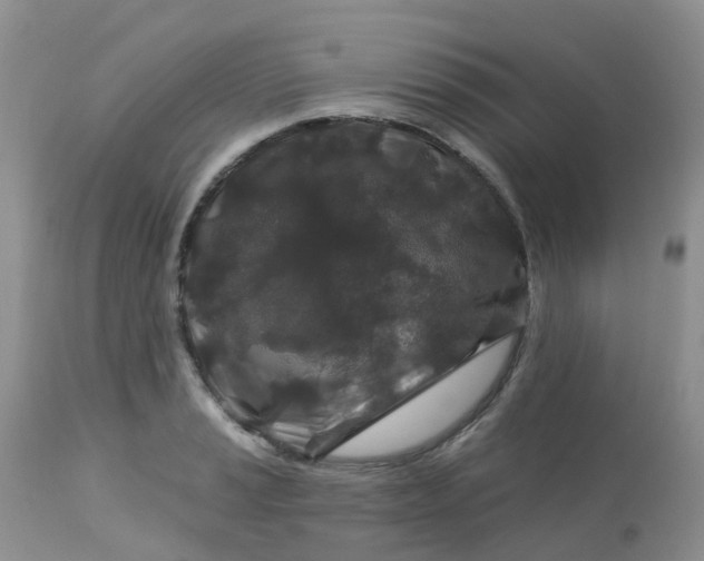 X0000113581037200910091457