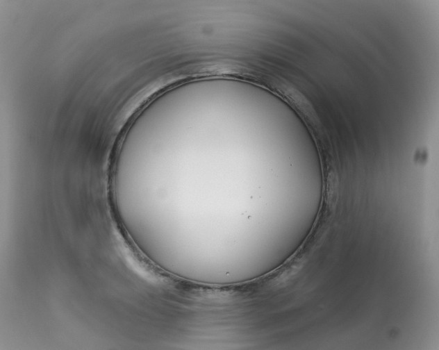 X0000113581039200910091457