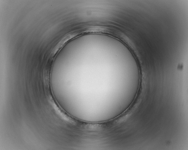 X0000113581041200910091457