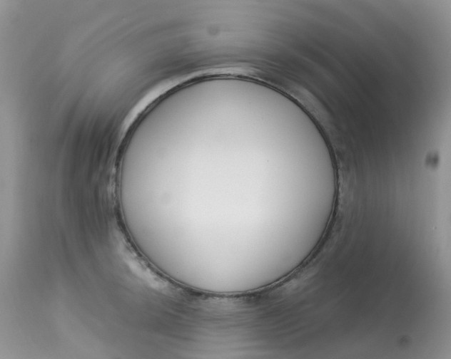 X0000113581044200910091457