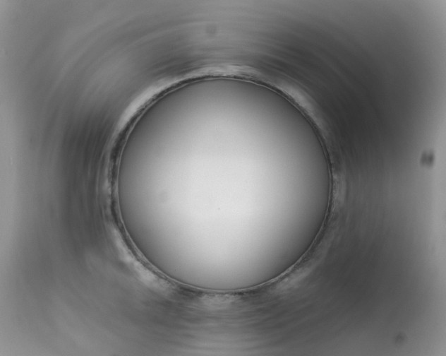 X0000113581046200910091457