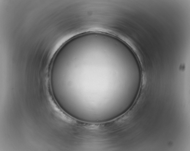 X0000113581048200910091457