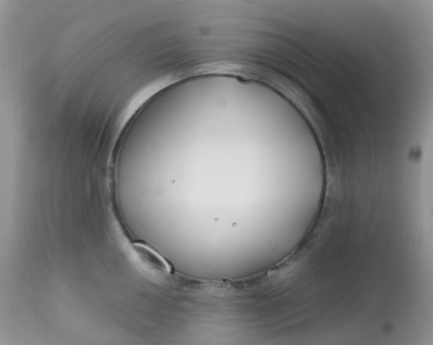 X0000113581050200910091457