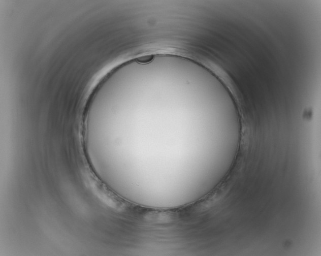 X0000113581051200910091457