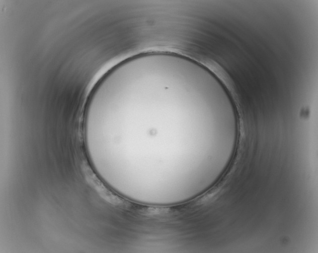 X0000113581052200910091457