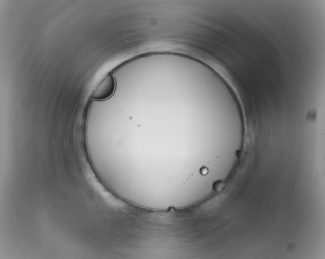 X0000113581053200910091457