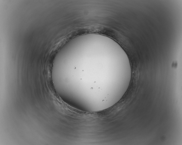 X0000113581058200910091457