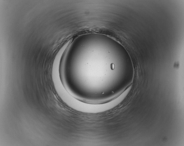 X0000113581060200910091457