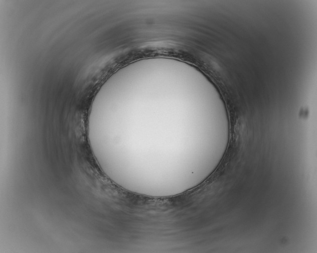 X0000113581062200910091457