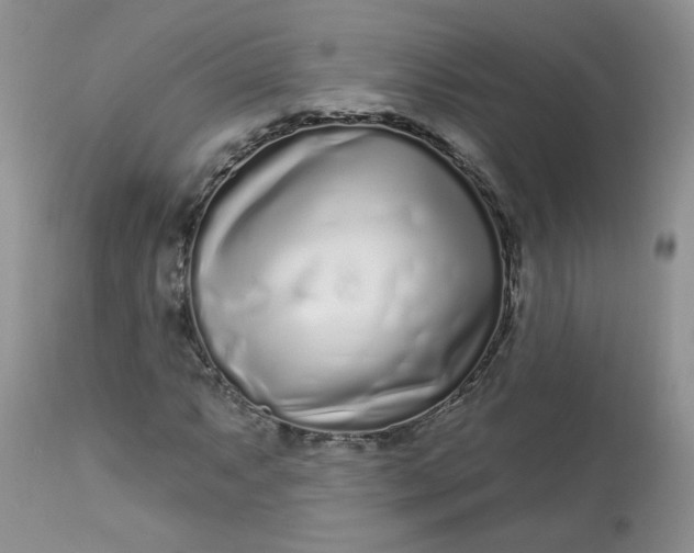 X0000113581063200910091457