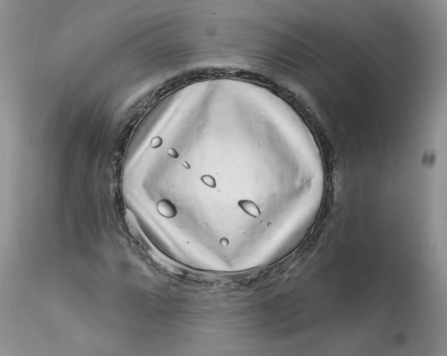 X0000113581064200910091457