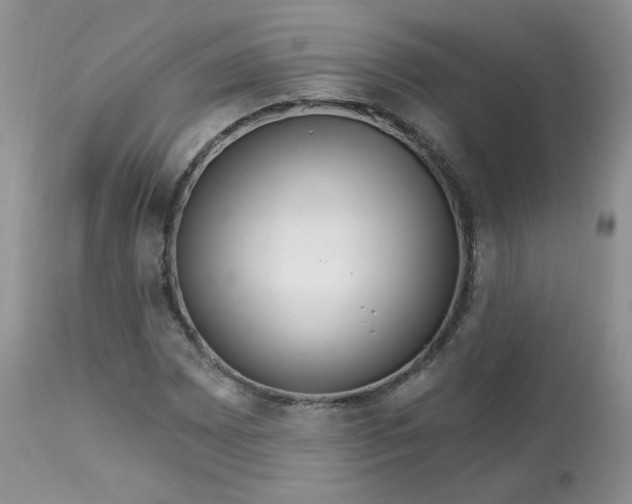 X0000113581065200910091457