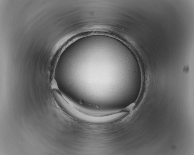 X0000113581066200910091457