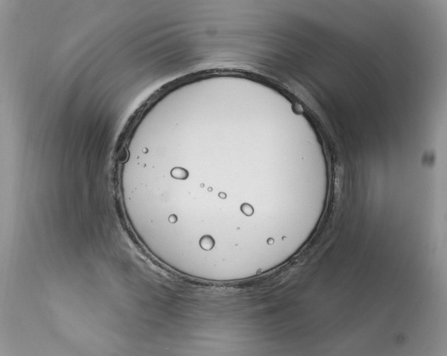 X0000113581068200910091457