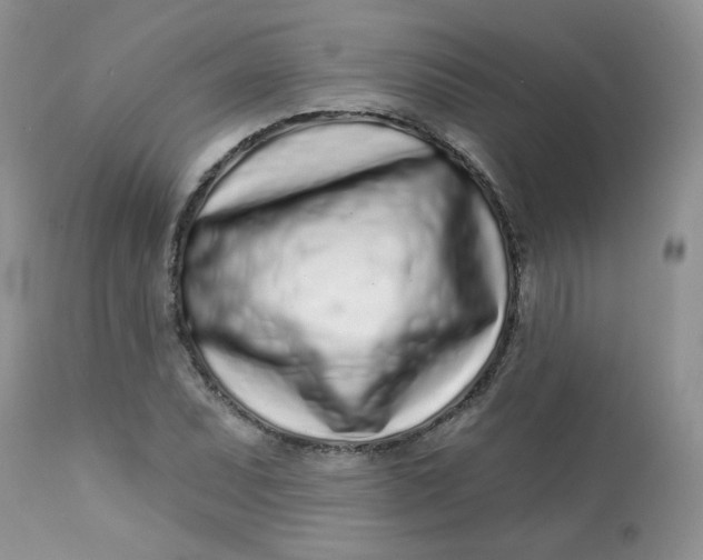 X0000113581071200910091457