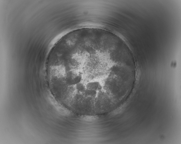 X0000113581074200910091457