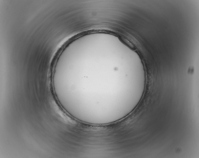 X0000113581076200910091457