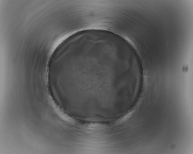 X0000113581077200910091457