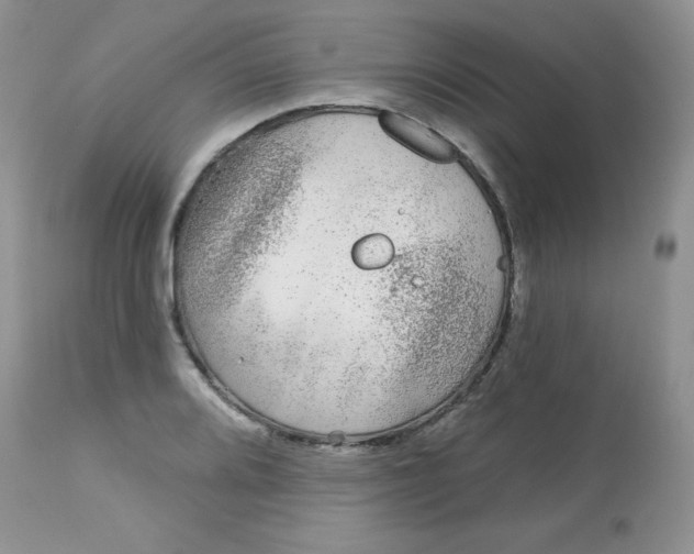 X0000113581080200910091456