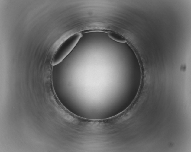 X0000113581081200910091456