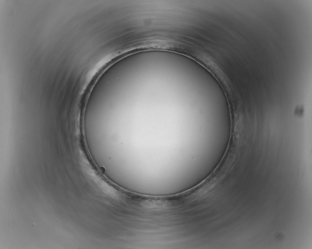 X0000113581083200910091456