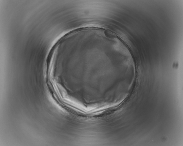 X0000113581084200910091456