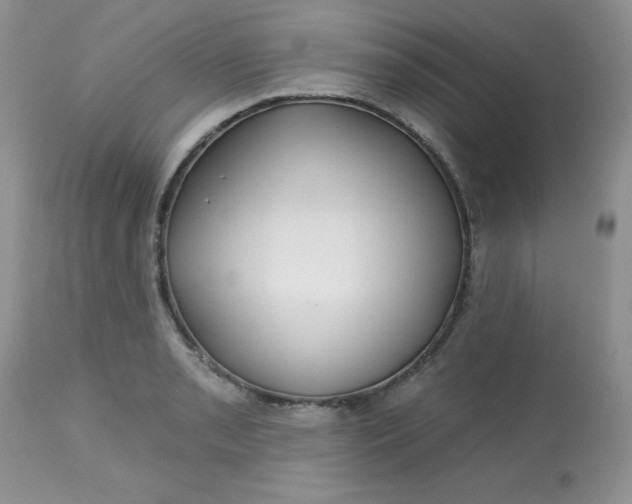 X0000113581085200910091456