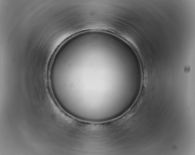 X0000113581087200910091456