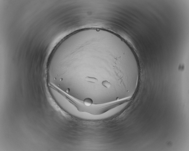 X0000113581088200910091456