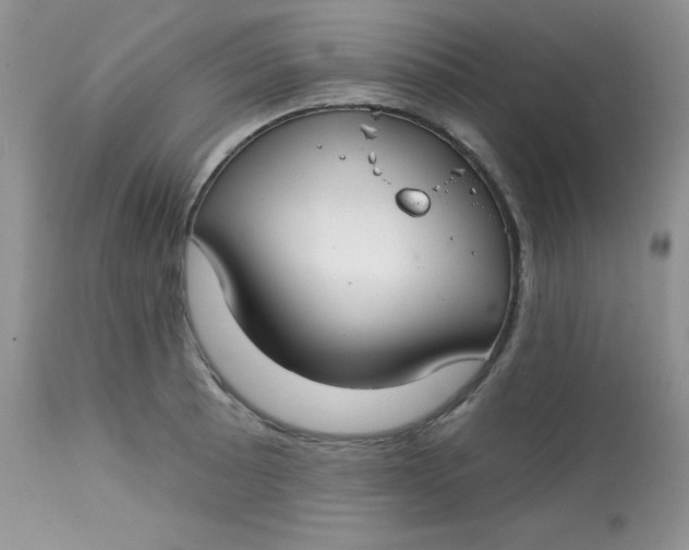 X0000113581089200910091456