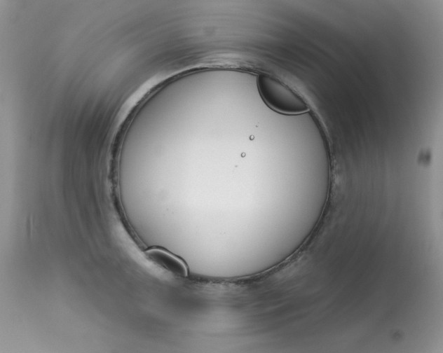 X0000113581091200910091456