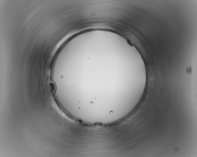 X0000113581092200910091456