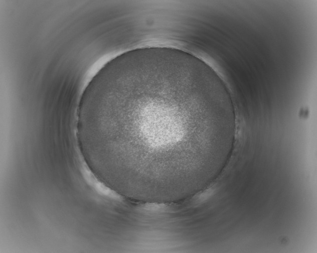 X0000113581094200910091456