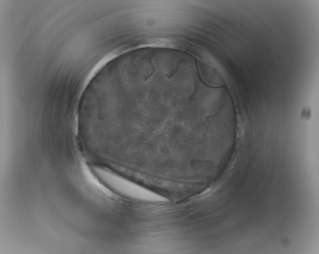 X0000113581095200910091456