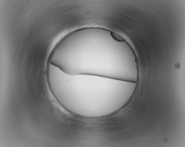 X0000113581096200910091456