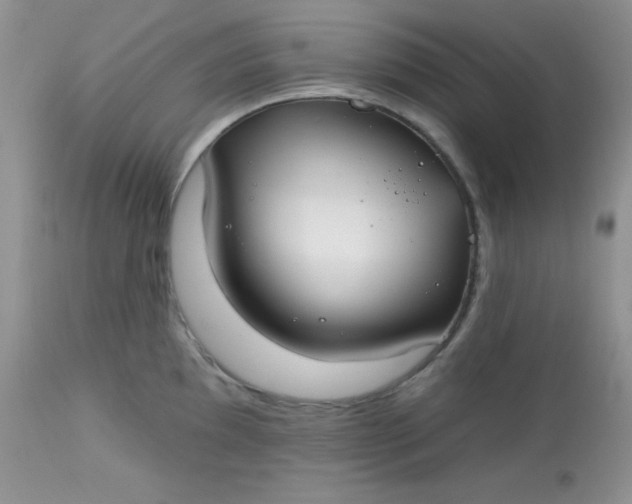 X0000113581097200910091456