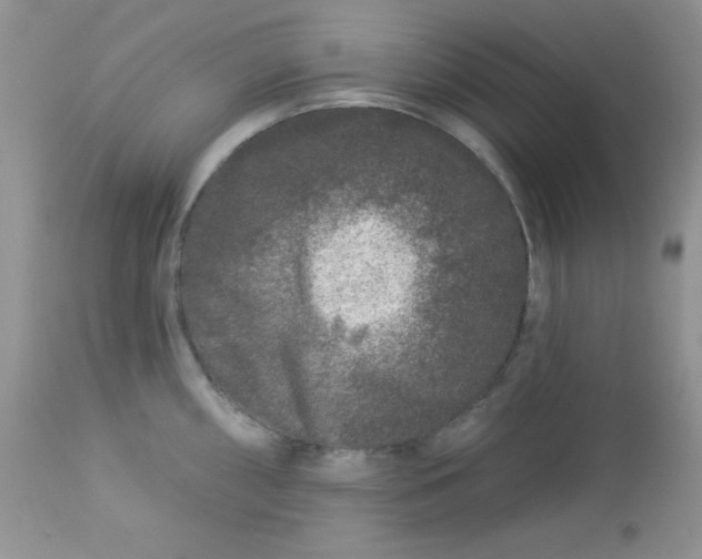 X0000113581098200910091456