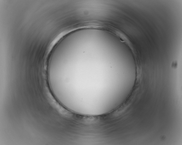 X0000113581099200910091456