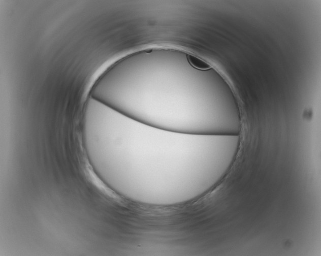 X0000113581100200910091456