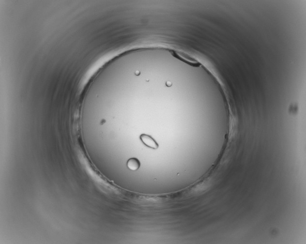 X0000113581101200910091456